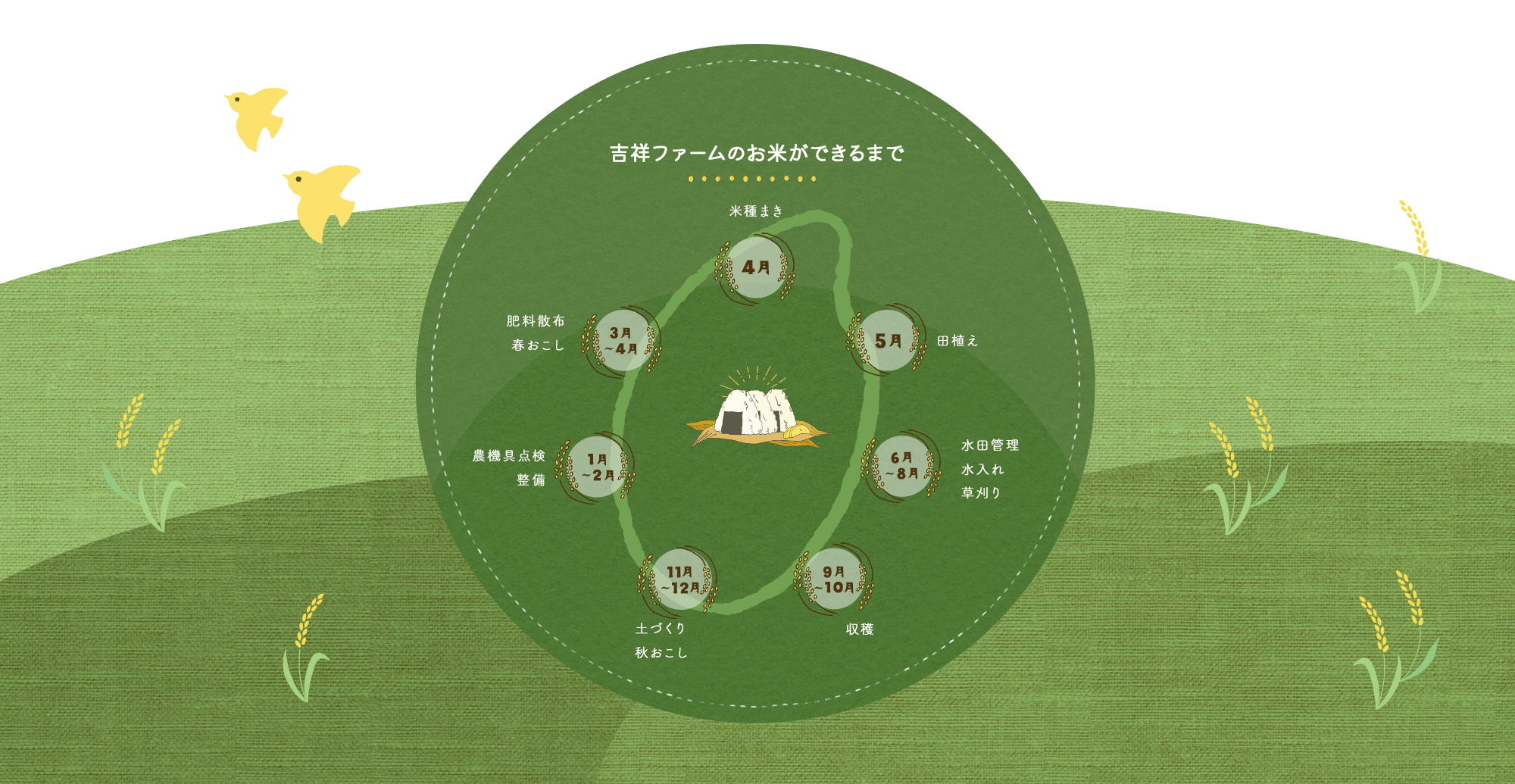 吉祥ファームのお米ができるまで